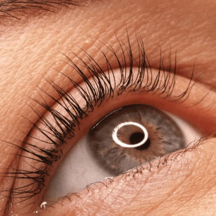 Wimpernlifting, Wimpernwelle und Brauenlifting Preise Easy